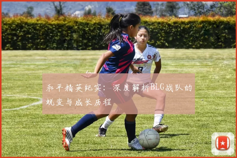 和平精英纪实:深度解析BLG战队的蜕变与成长历程