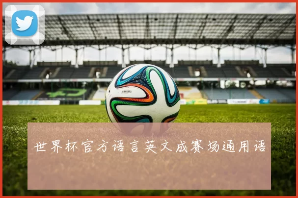 世界杯官方语言英文成赛场通用语