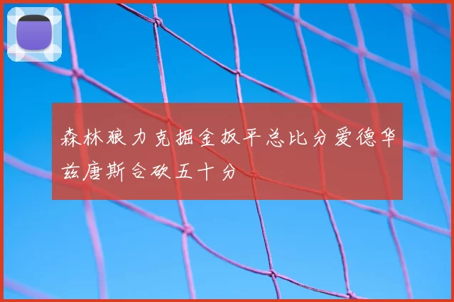 森林狼力克掘金扳平总比分爱德华兹唐斯合砍五十分