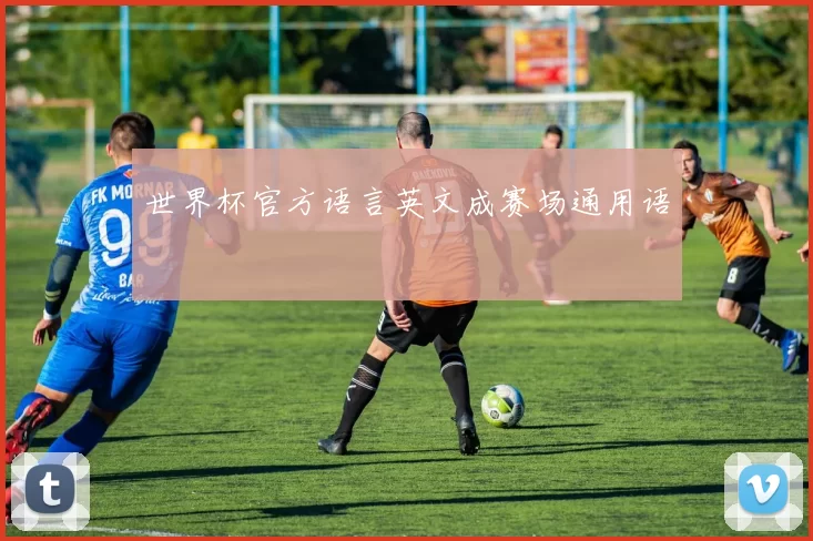 世界杯官方语言英文成赛场通用语