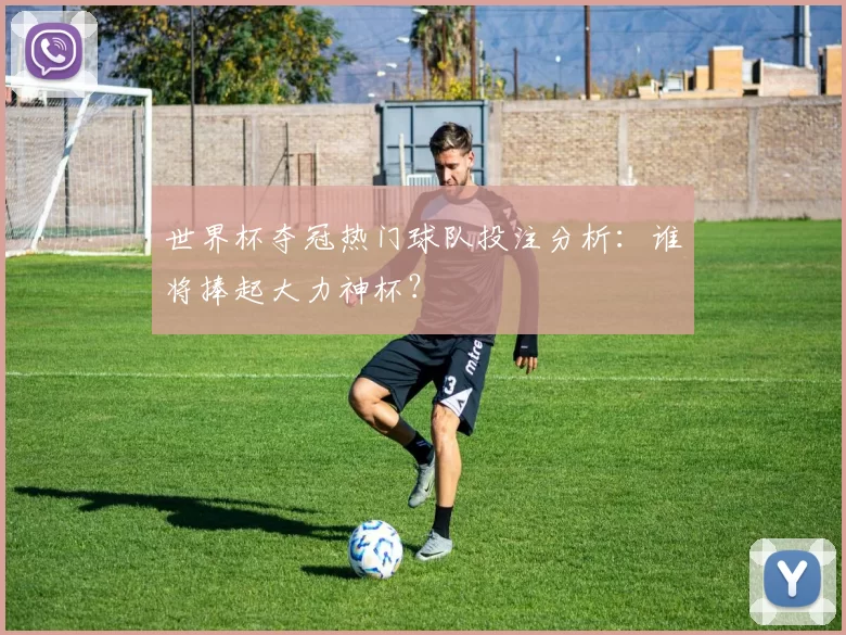 世界杯夺冠热门球队投注分析:谁将捧起大力神杯?