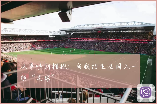从争吵到拥抱：当我的生活闯入一颗“足球”