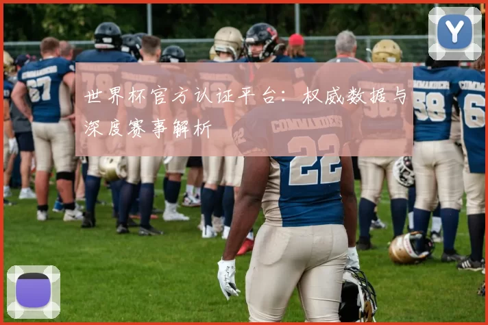 世界杯官方认证平台：权威数据与深度赛事解析