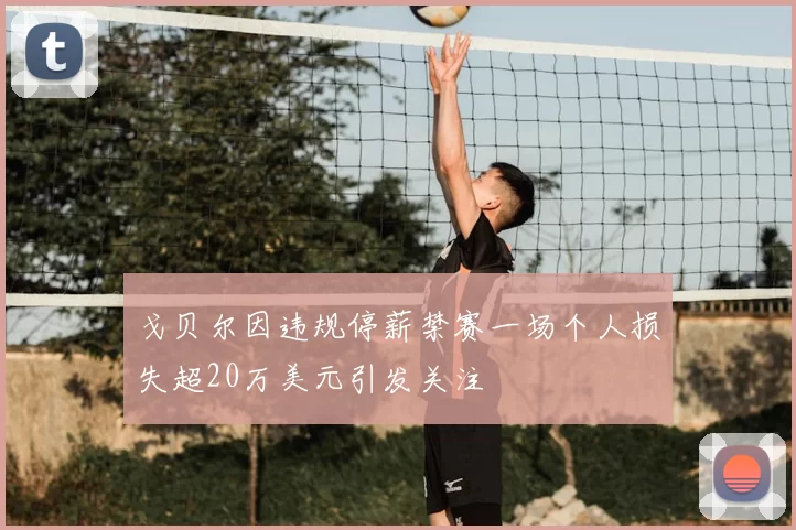 戈贝尔因违规停薪禁赛一场个人损失超20万美元引发关注
