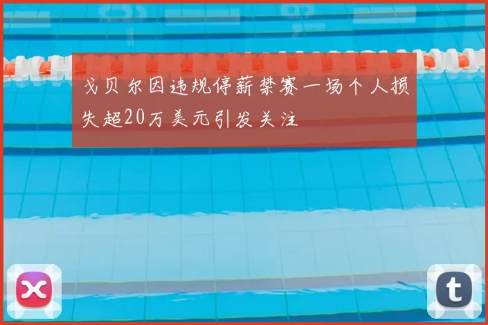 戈贝尔因违规停薪禁赛一场个人损失超20万美元引发关注