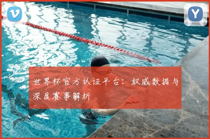 世界杯官方认证平台：权威数据与深度赛事解析