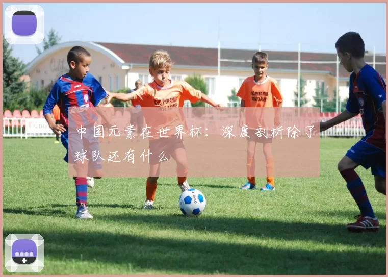 中国元素在世界杯：深度剖析除了球队还有什么