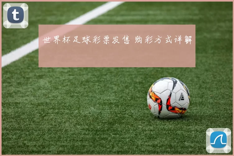 世界杯足球彩票发售 购彩方式详解